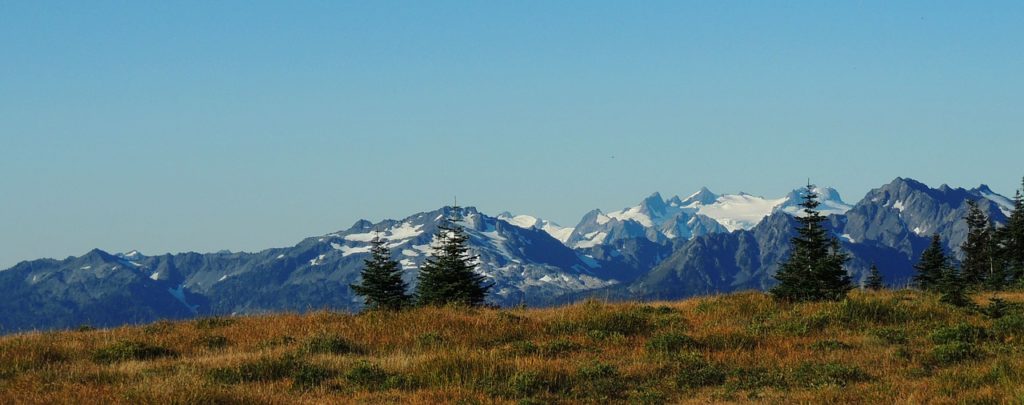 olympic national park, washington, mountains